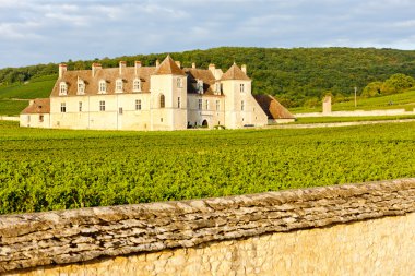 Clos blanc de vougeot Kalesi, Burgonya, Fransa