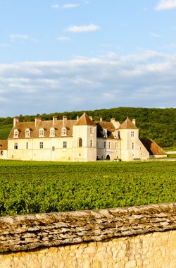 Clos blanc de vougeot Kalesi, Burgonya, Fransa