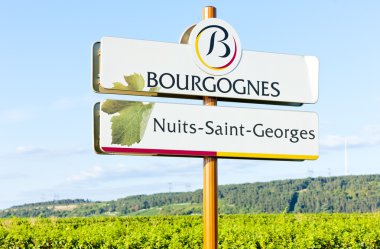 Nuits-Saint-Georges, Burgundy, France clipart