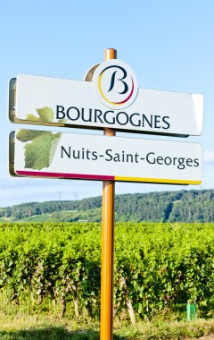 Nuits-saint-georges, Burgonya, Fransa