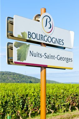 Nuits-saint-georges, Burgonya, Fransa