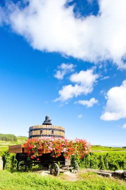 Pommmard, Burgundy, Fransa yakınlarındaki Cote de Beaune üzüm bağları