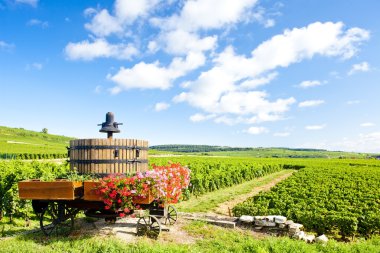 Pommmard, Burgundy, Fransa yakınlarındaki Cote de Beaune üzüm bağları