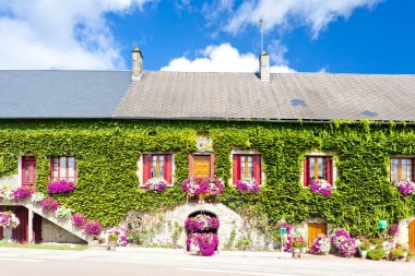House with flowers, Burgundy, France clipart