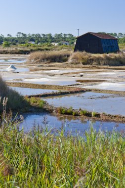 Saline, bağlantı noktası des salines, oleron Adası, poitou-charentes, Frangı