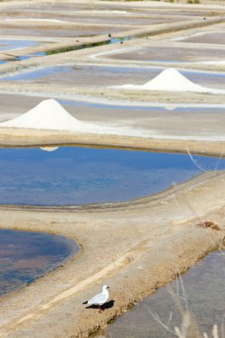 Saline, bağlantı noktası des salines, oleron Adası, poitou-charentes, Frangı