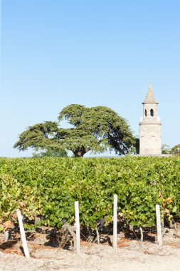Chateau de la tour, tarafından bordeaux bölgesi, Fransa