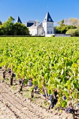 Vineyard and Chateau Tronquoy Lalande, Saint-Estephe, Bordeaux R clipart