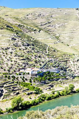 Douro valley, Portekiz