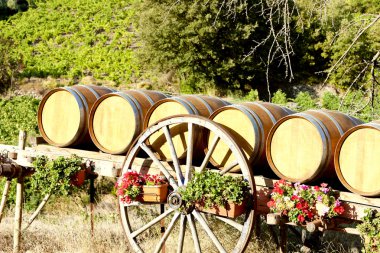 varil, villeneuve-les-corbieres, languedoc rouss bağ