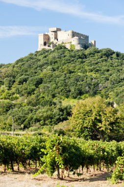 Kale saint martin ile bağ, languedoc-roussillon, Fransa