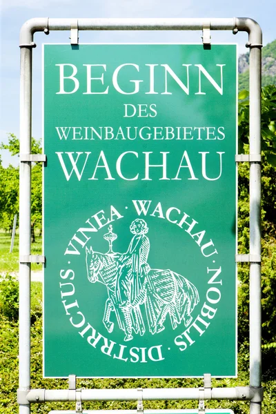 Виноградарство региона Вахау, Нижняя Австрия, Австрия — стоковое фото