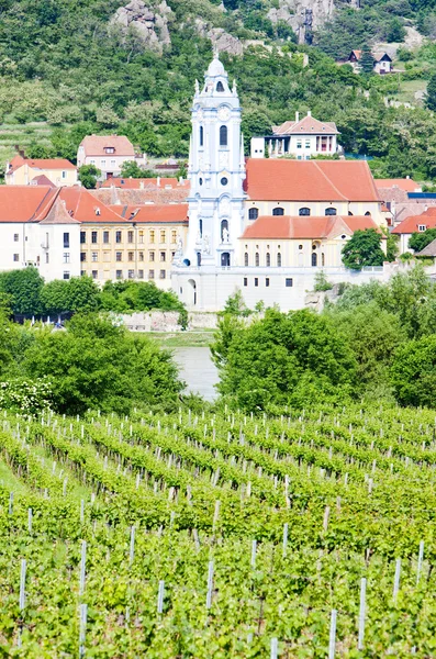 Durnstein, vineyard in Wachau Region, Lower Austria, Austria — Stock Photo, Image