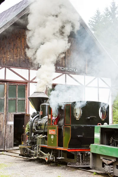 Dampflokomotive, Museum des Dorfes Kysuce, Wytschylowka, Slowakei — Stockfoto