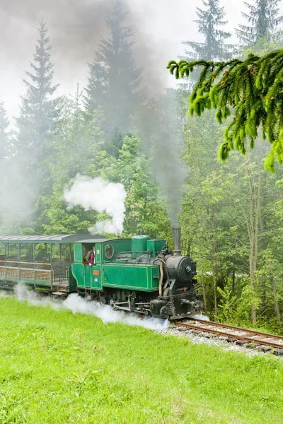 蒸気の鉄道、kysuce 村、vychylovka、スロバキアの博物館 — ストック写真