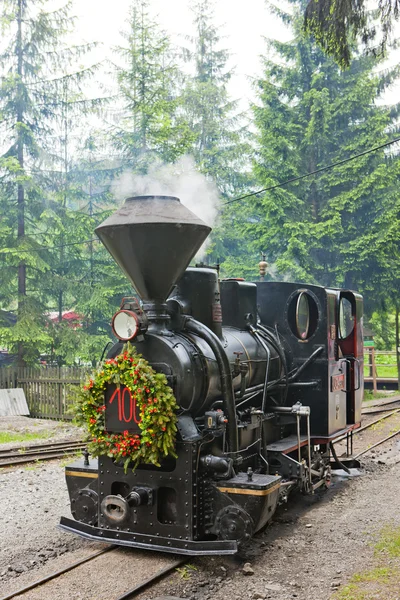 Dampflokomotive, Museum des Dorfes Kysuce, Wytschylowka, Slowakei — Stockfoto