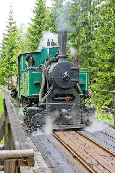 Parní lokomotiva, muzeum vesnice kysuce, vychylovka, Slovensko — Stock fotografie