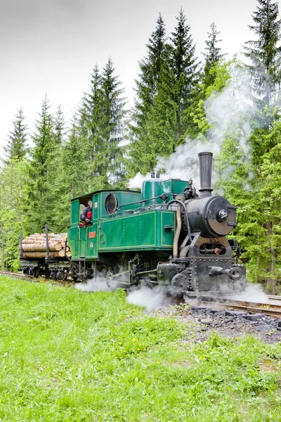 Tren de vapor, Museo del pueblo de Kysuce, Vychylovka, Eslovaquia —  Fotos de Stock