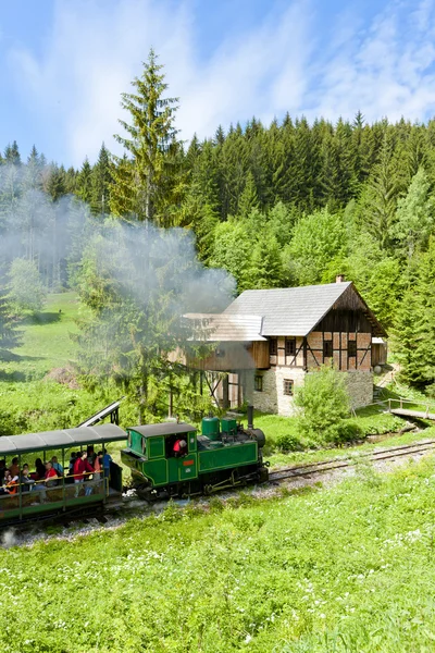 Steam train and old saw mill, Museum of Kysuce village, Vychylov — Stock Photo, Image