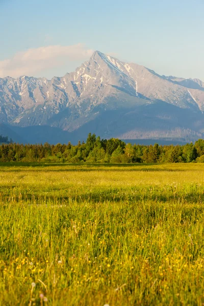 Krivan, Vysoké Tatry (höga Tatra), Slovakien — Stockfoto