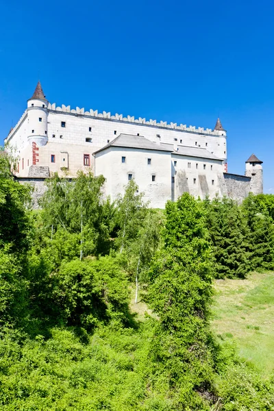 Castello di Zvolen, Slovacchia — Foto Stock