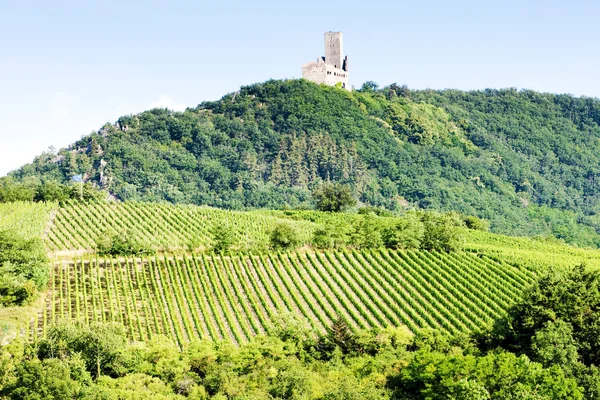 Weinberge mit Schloss Ortenbourg, Elsass, Frankreich — Stockfoto