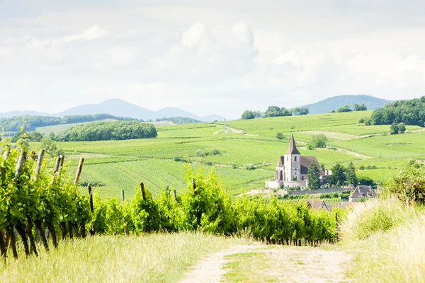 Hunawihr con viñedos, Alsacia, Francia — Foto de Stock