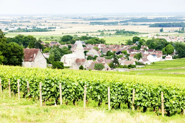 Grand cru vingård nära fixin, Côte de nuits, Bourgogne, Frankrike — Stockfoto