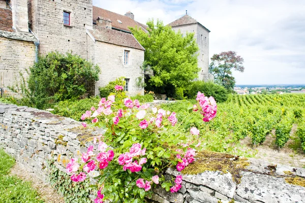 Castillo de Gevrey-Chambertin, Costa de Nuits, Borgoña, Francia —  Fotos de Stock
