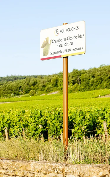 Grand cru winnic chambertin, Burgundia, Francja — Zdjęcie stockowe