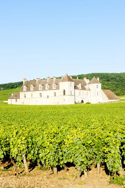 Clos blanc de vougeot hrad, Burgundsko, Francie — Stock fotografie