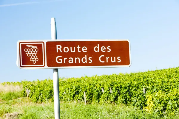Vinrutten, Bourgogne, Frankrike — Stockfoto