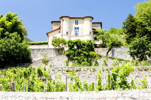 城堡格里耶、 罗讷-阿尔卑斯大区、 法国的葡萄园 — 图库照片