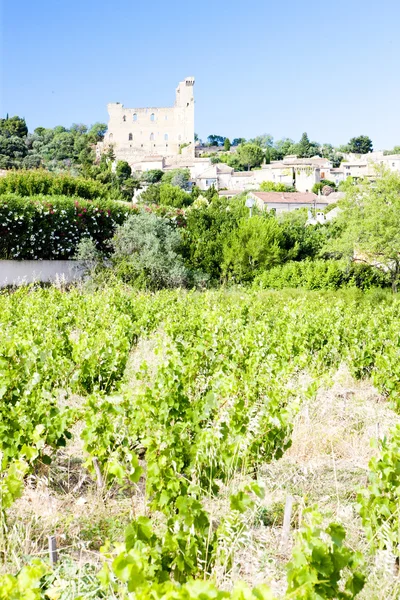 Chateauneuf-du-Pape with vineyard, Provence, France — Stock Photo, Image