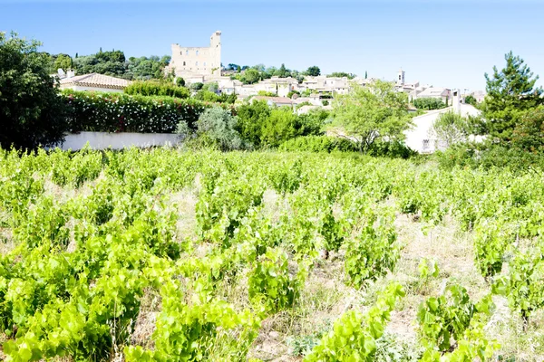Chateauneuf-du-pape med vingård, provence, Frankrike — Stockfoto
