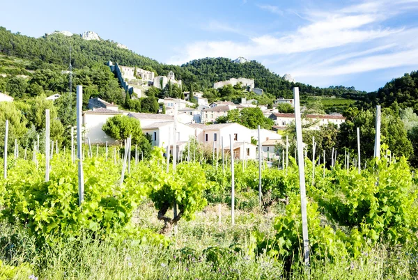Gigondas s vinicí, provence, Francie — Stock fotografie