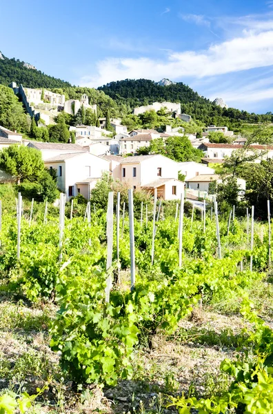 Gigondas com vinha, Provence, França — Fotografia de Stock