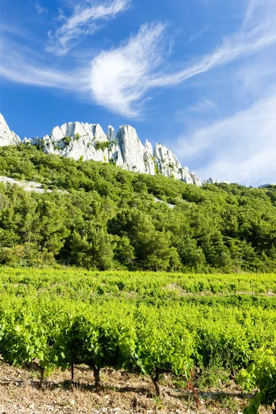 Виноградники возле Гигондаса в Col Du Cayron, Прованс, Франция — стоковое фото