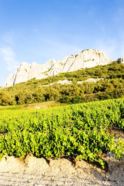 Vingårdarna nära gigondas på col du cayron, provence, Frankrike — Stockfoto