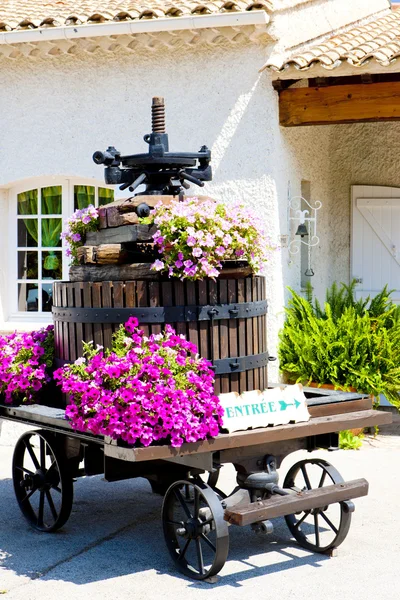 Winepress, bandol, provence, Frankrike — Stockfoto