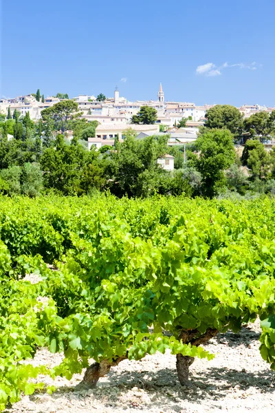 La cadiere d'azur s vinicemi, provence, Francie — Stock fotografie