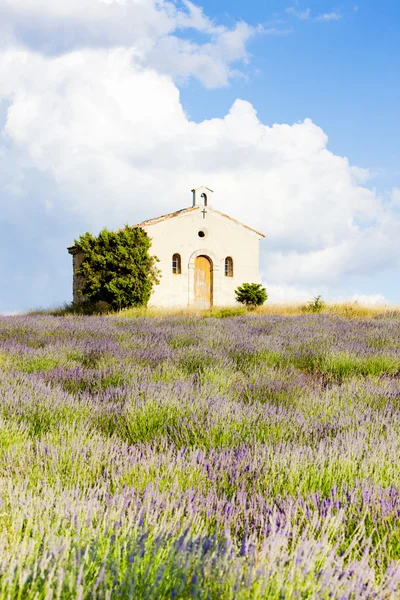 Cappella con campo di lavanda, Plateau de Valensole, Provenza, Fran — Foto Stock
