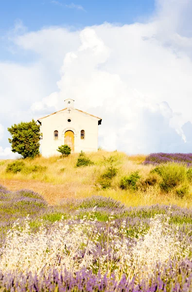 Kaplica z pola lawendy, płaskowyżu valensole de provence, fran — Zdjęcie stockowe