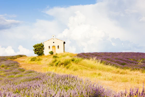 Kaplica z pola lawendy, płaskowyżu valensole de provence, fran — Zdjęcie stockowe
