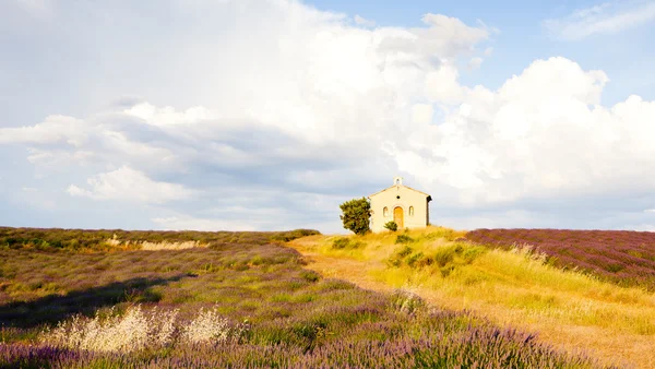 Kapelle mit Lavendelfeld, Plateau de Valensole, Provence, Fran — Stockfoto