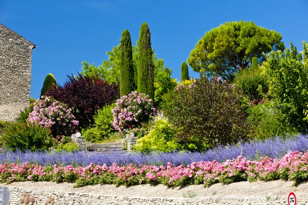 Garten in Gordes, Provence, Frankreich — Stockfoto