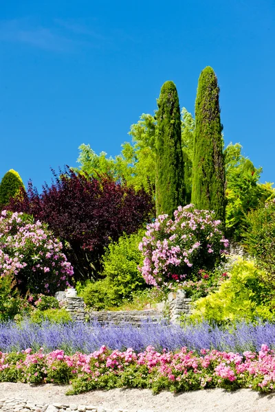 Сад в городе gordes, Прованс, Франция — стоковое фото