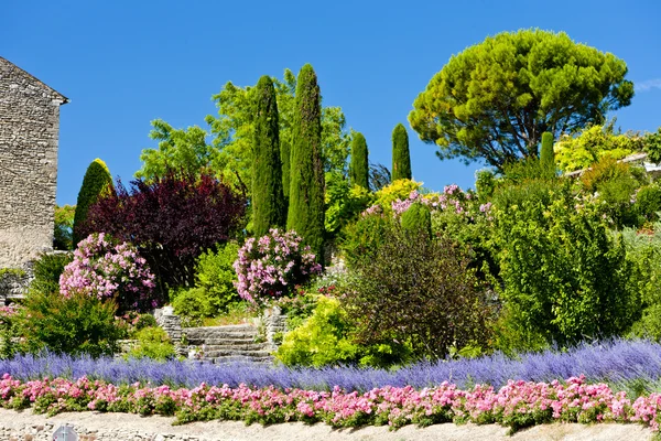 Tuin op gordes, provence, Frankrijk — Stockfoto