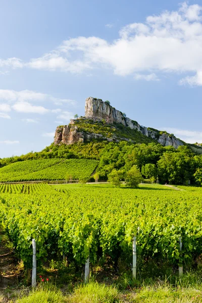 Solutre rock met wijngaarden, Bourgondië, Frankrijk — Stockfoto