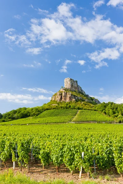 Solutre Rock with vineyards, Borgonha, França — Fotografia de Stock